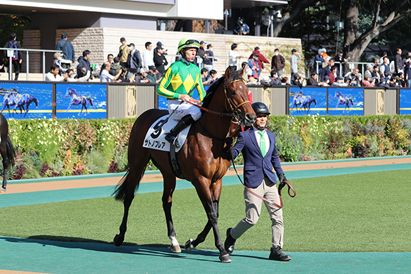 堂々とした周回を見せています