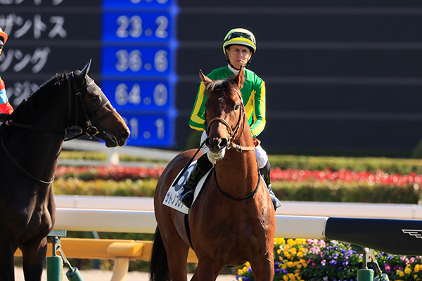 レーン騎手を背に、初の本馬場入場！