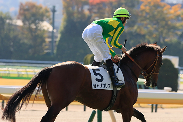 慎重に返し馬をしていきます