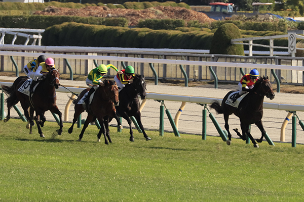 外から差を詰めるサトノフレア