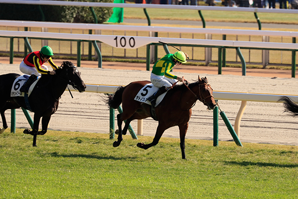レーン騎手のステッキに応えます！
