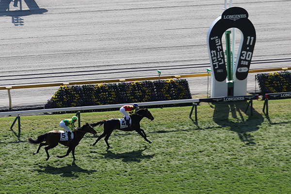 結果は、上がり最速の末脚を繰り出し２着に入りました！