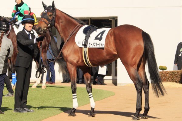 430キロ台と小柄ながら馬体を大きく見せています