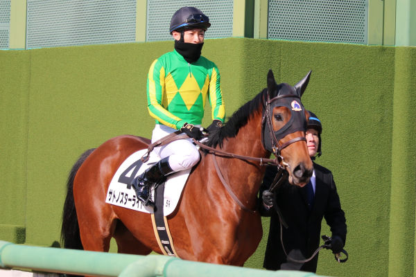 大野騎手を背に本馬場へ向かいます