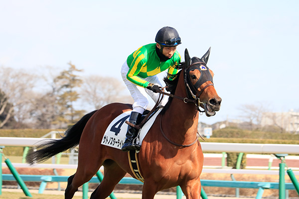 返し馬では軽快な走りを見せています