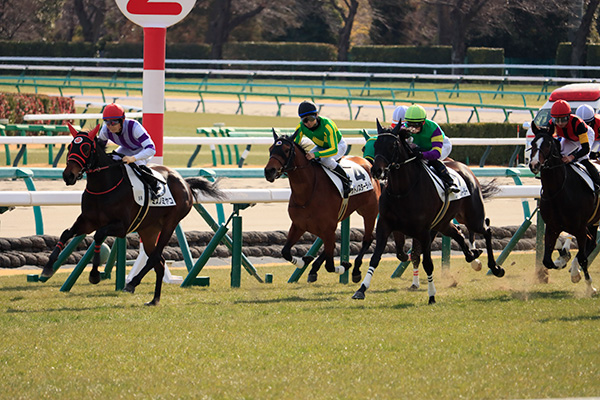 好スタートを切ったサトノスターライト