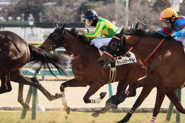 最後の直線で先頭との差を詰めにかかります