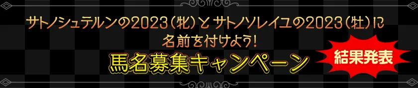 馬名募集11弾