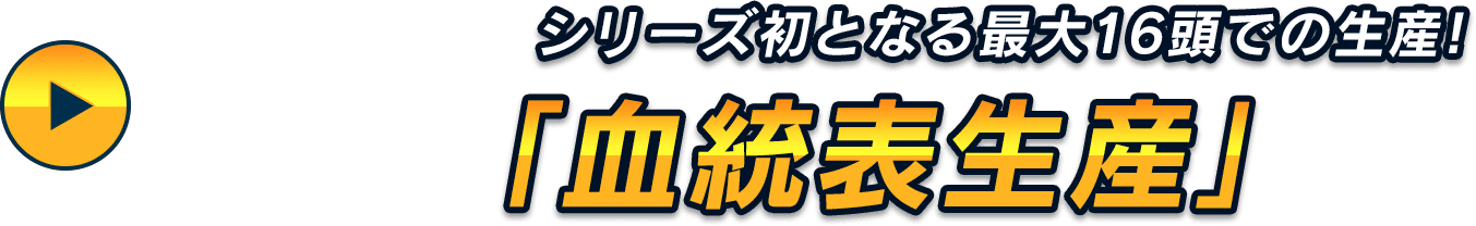 シリーズ初となる最大16頭での生産！「血統表生産」