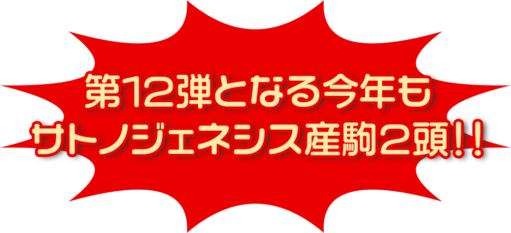 第12弾となる今年もサトノジェネシス産駒2頭！！