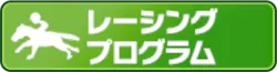 レーシングプログラム