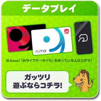 データプレイ説明