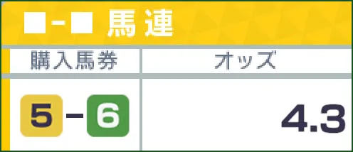 購入馬券5-6/オッズ4.3