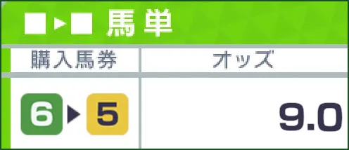 購入馬券6▶5/オッズ9.0