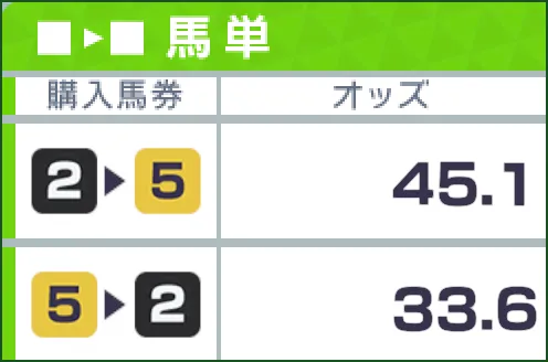 購入馬券2▶5/オッズ45.1、購入馬券5▶2/オッズ33.6