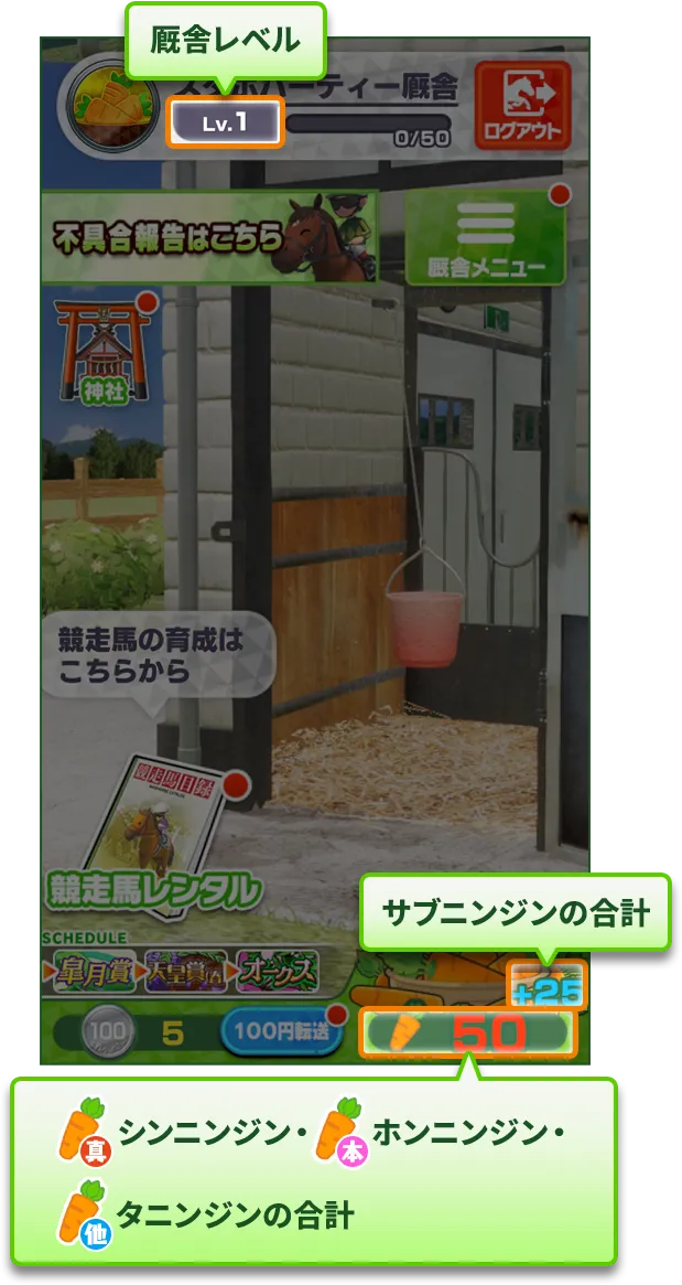 所持上限紹介内容