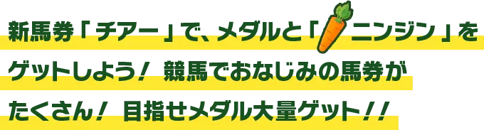 ベットゲーム説明テキスト