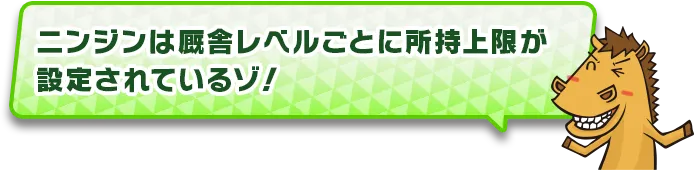 ニンジン所持上限