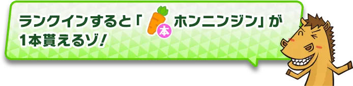ランキング紹介内容