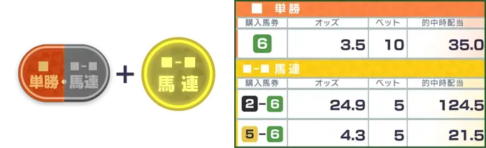 単勝+馬連　単勝/購入馬券6/オッズ3.5/ベット10/的中時配当35.0、馬連/購入馬券2-6/オッズ24.9/ベット5/的中時配当124.5、馬連/購入馬券5-6/オッズ4.3/ベット5/的中時配当21.5