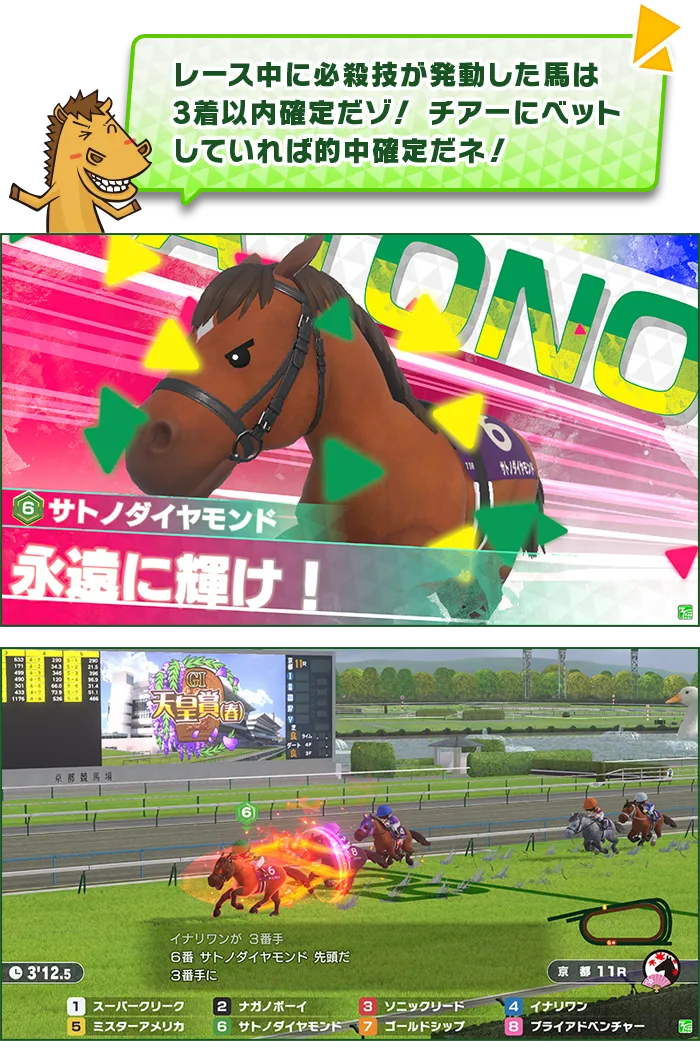 チアー紹介内容