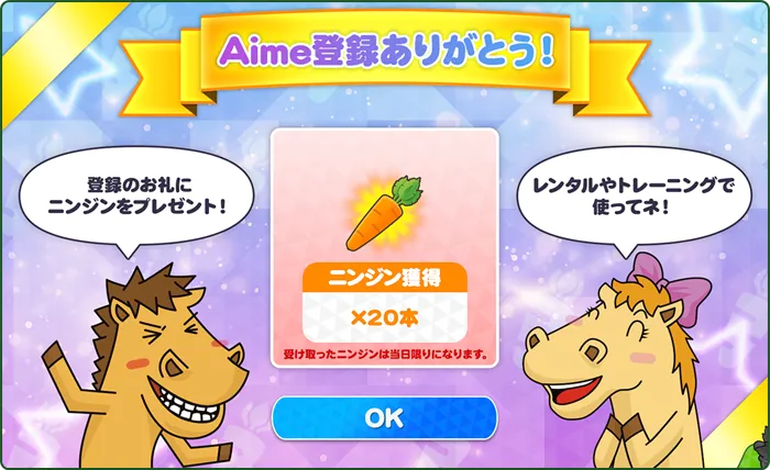 Aime登録完了画面
