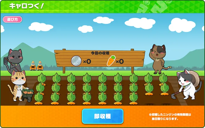 キャロつく！紹介内容