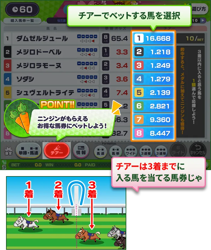 チアー紹介内容