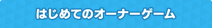 初めてのオーナーゲーム