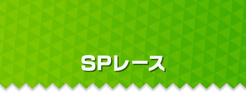 SPレース
